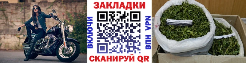 Как найти наркотики Нижнеудинск Галлюциногенные грибы  Меф мяу мяу  ГАШ  Кокаин  KRAKEN tor  Alpha-PVP 